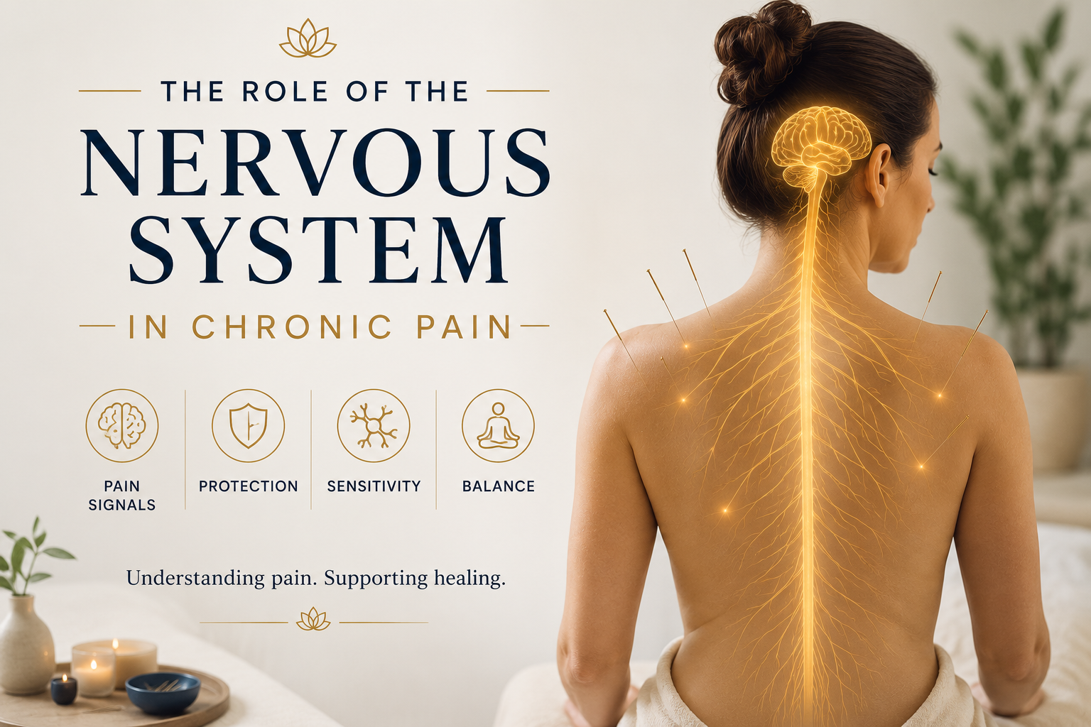 The Role of the Nervous System in Chronic Pain: Understanding Why Pain Persists